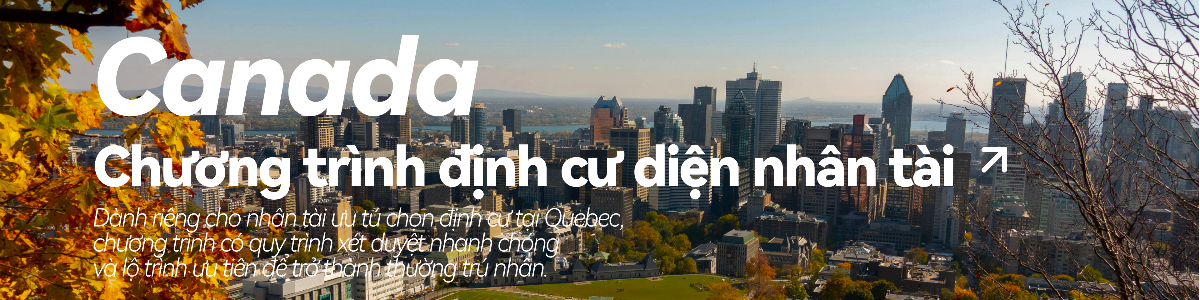 Chương tr&igrave;nh định cư diện nh&acirc;n t&agrave;i Canada